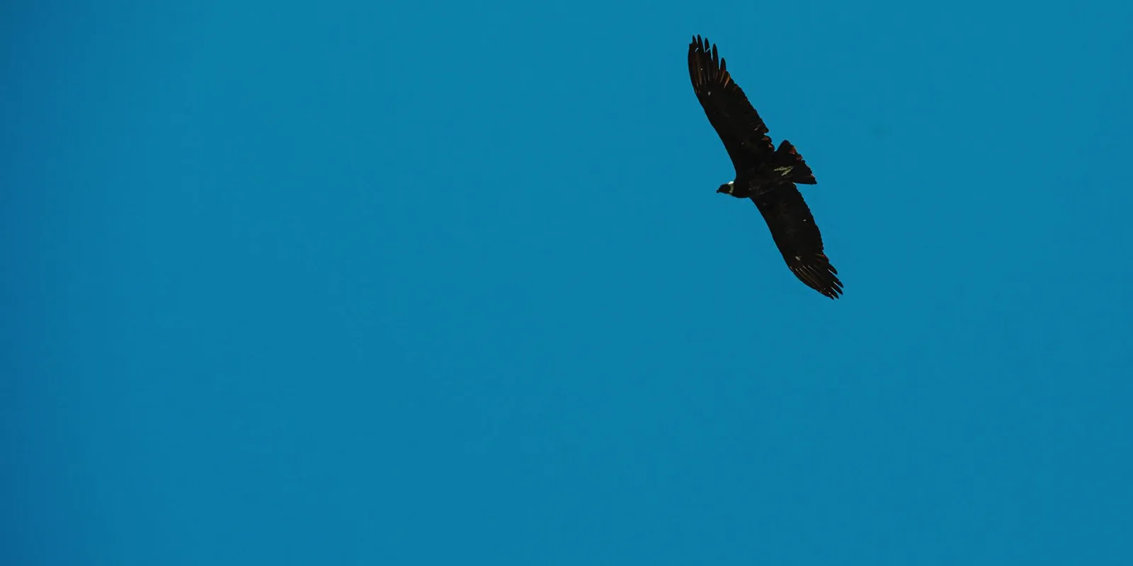 City photo of Córdoba, Argentina