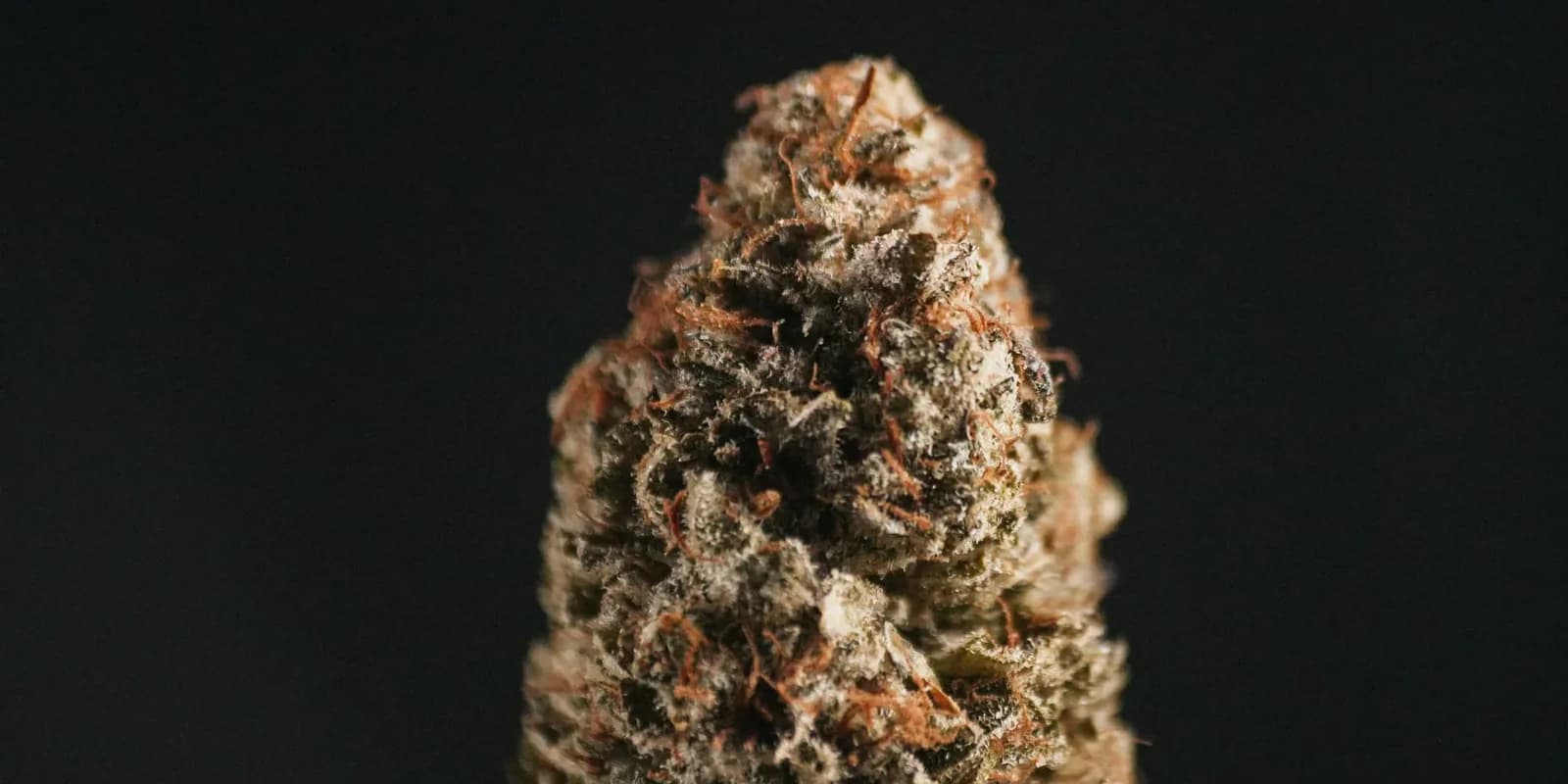 City photo of Asunción, Paraguay