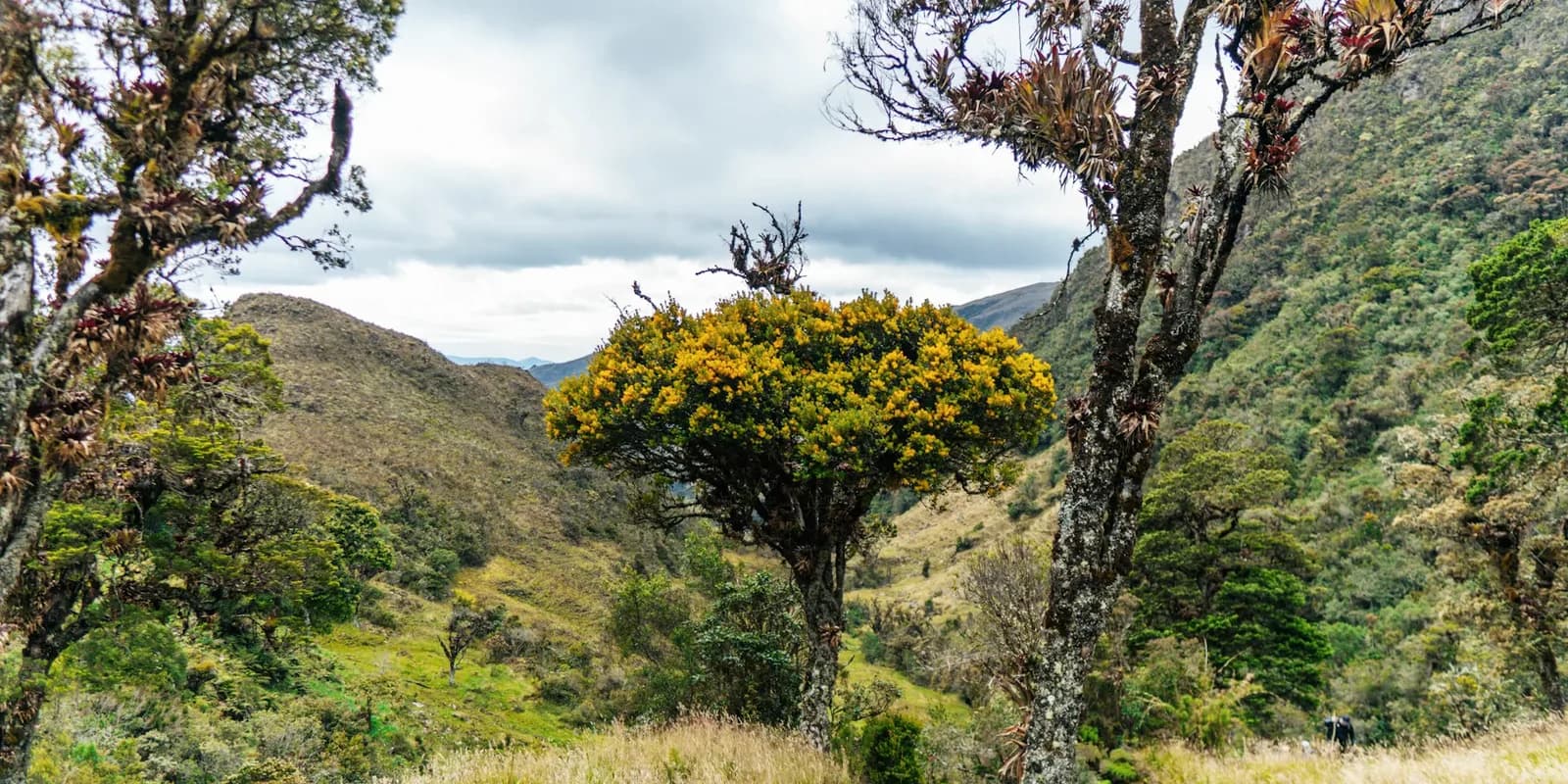 Country photo of Ecuador