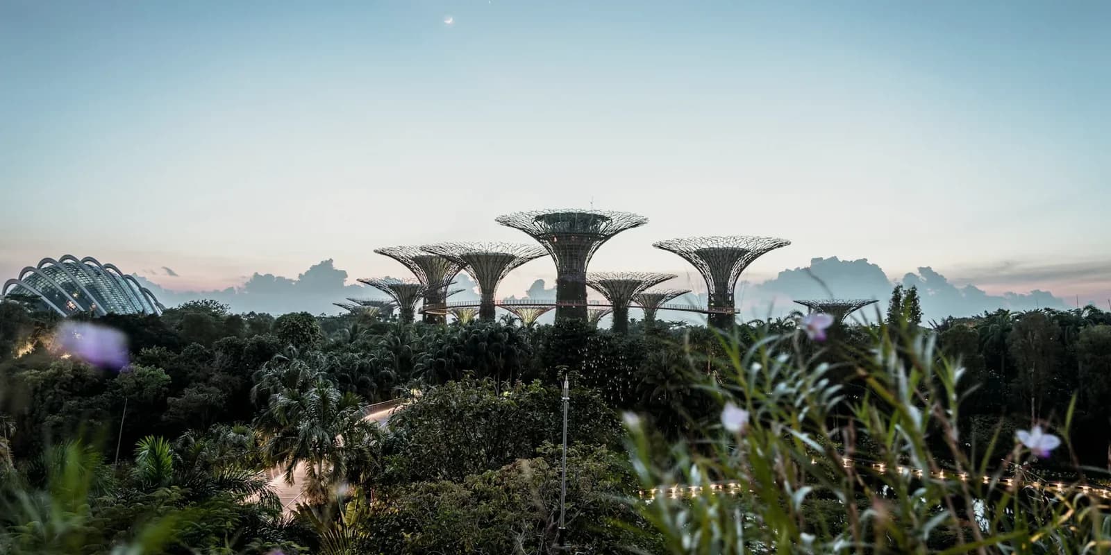 Country photo of Singapore