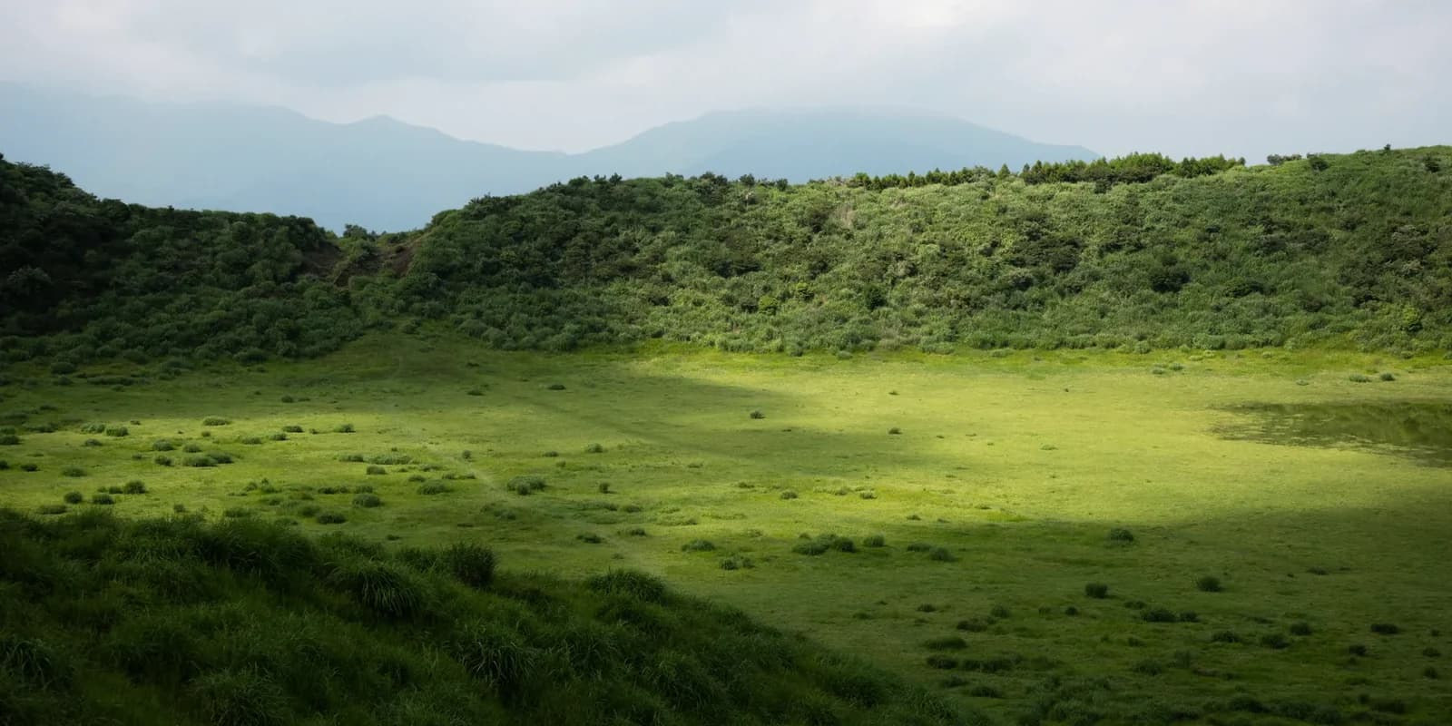 Country photo of Suriname